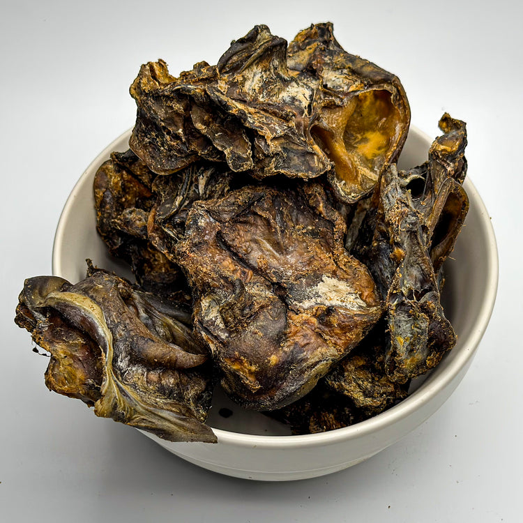 Rinderohrmuscheln
