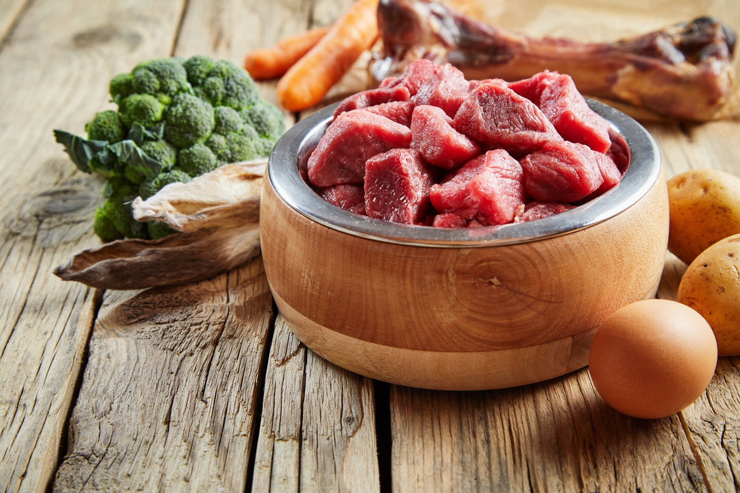 BARF vs. Nassfutter – was ist artgerechter?