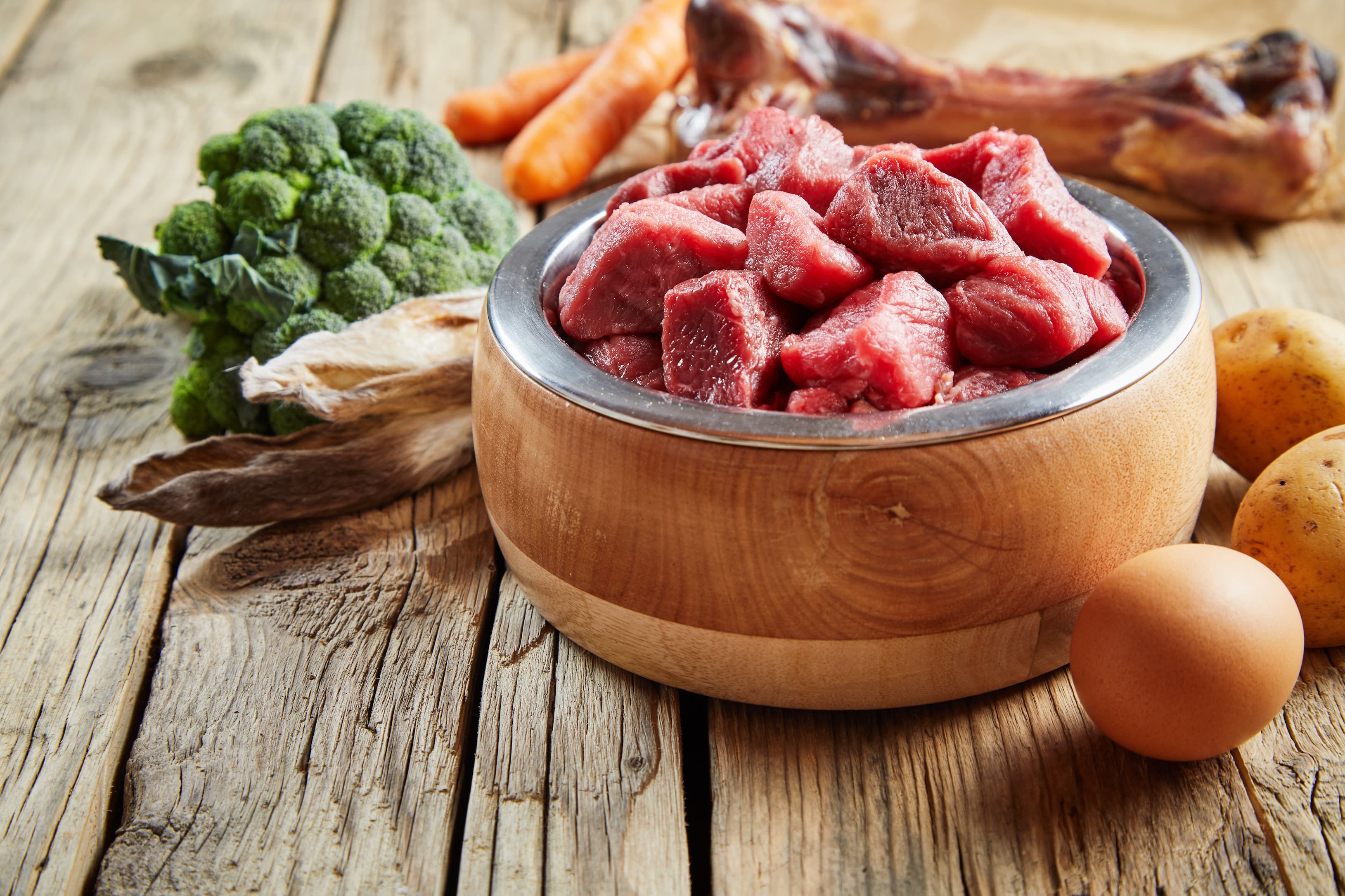 BARF vs. Nassfutter – was ist artgerechter?