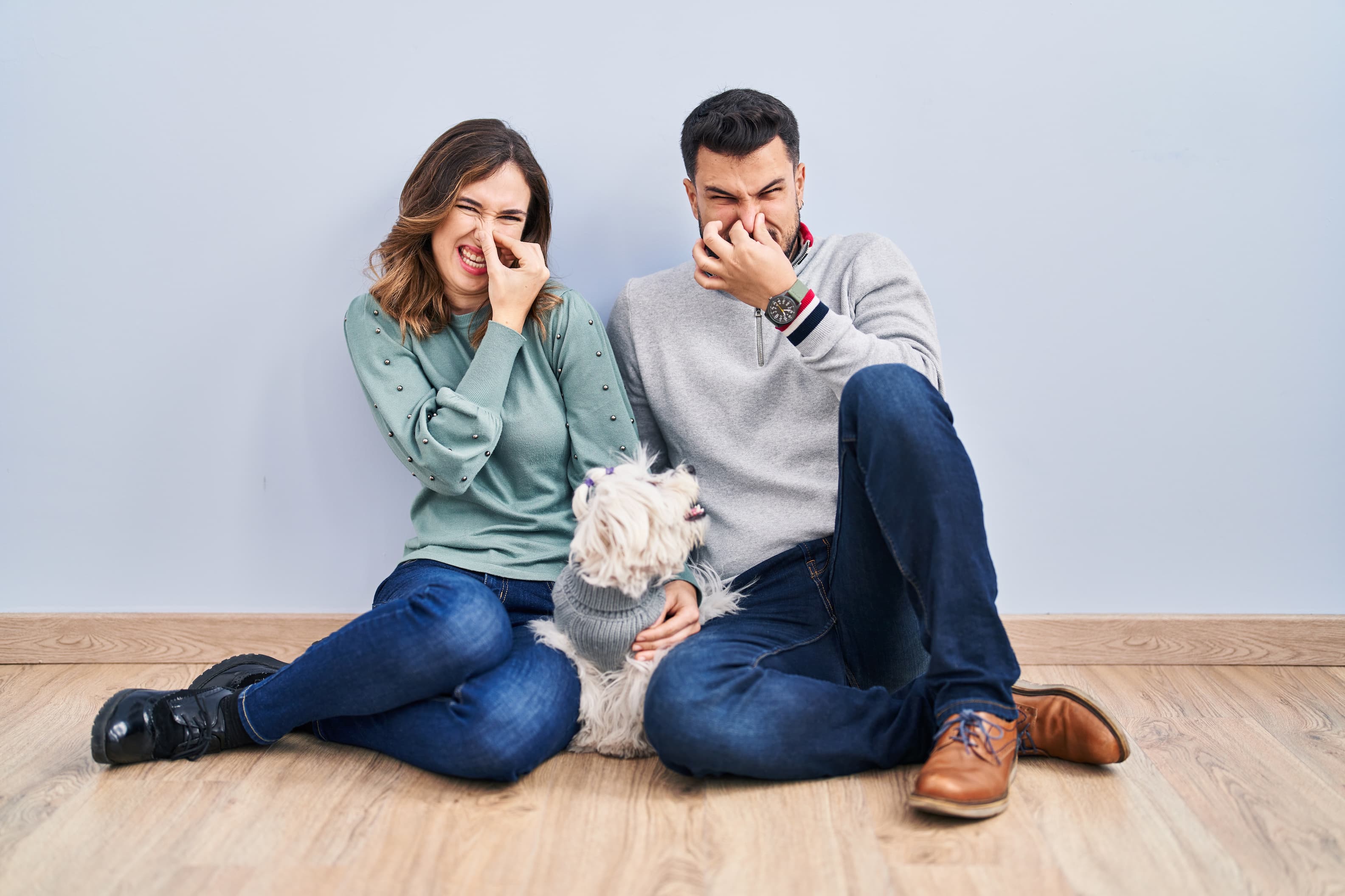 Hund hat Blähungen – woran es liegen kann und wie du es reduzierst