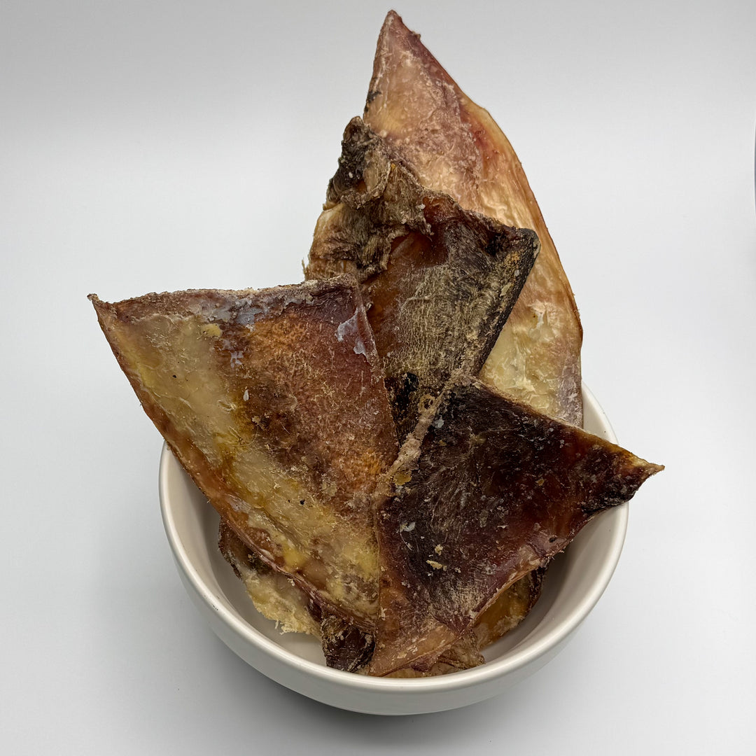 Schulterblätter vom Rind