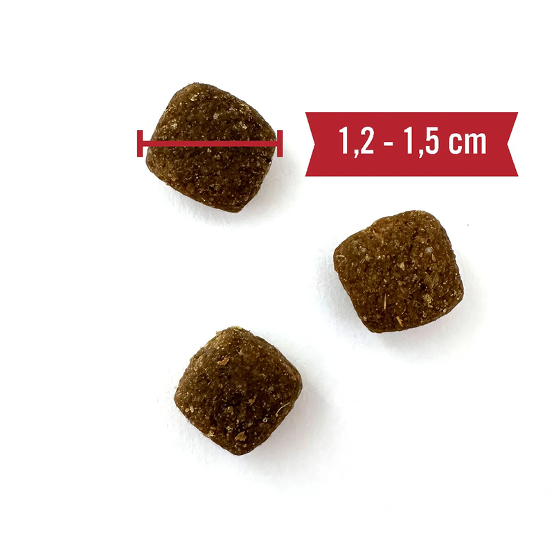 Menü-Trockenfutter Rind