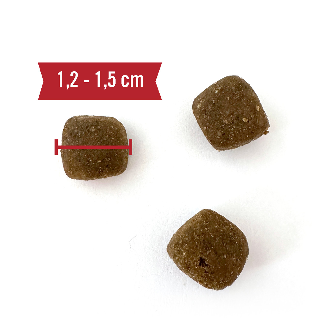 Menü-Trockenfutter Wild